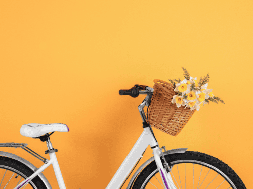 Fahrradkorb Vorne Test: Die 11 besten (Bestenliste)