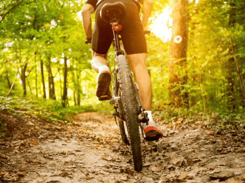 Fahrradlenker Tasche Test: Die 11 besten (Bestenliste)