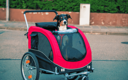 Fahrradanhänger für Hunde Test: Die 5 besten (Bestenliste)