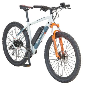 Prophete E-Bike Mountainbike 650B GRAVELER Test